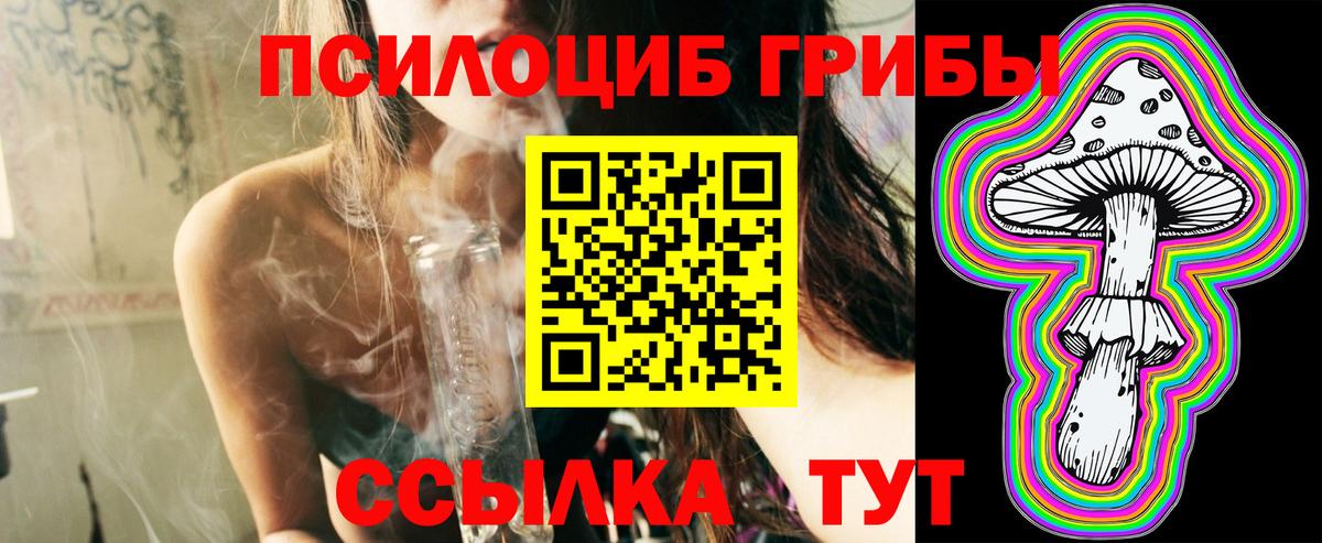 Касимов  Псилоцибиновые грибы Magic Shrooms  Вход с VPN 
